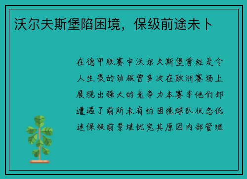 沃尔夫斯堡陷困境，保级前途未卜