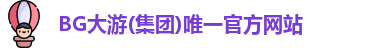 BG大游电子官方网址